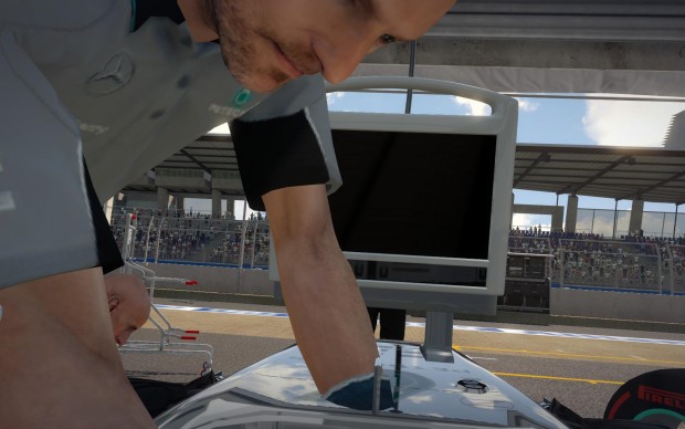 F1 2014 (Screenshot: Golem.de)